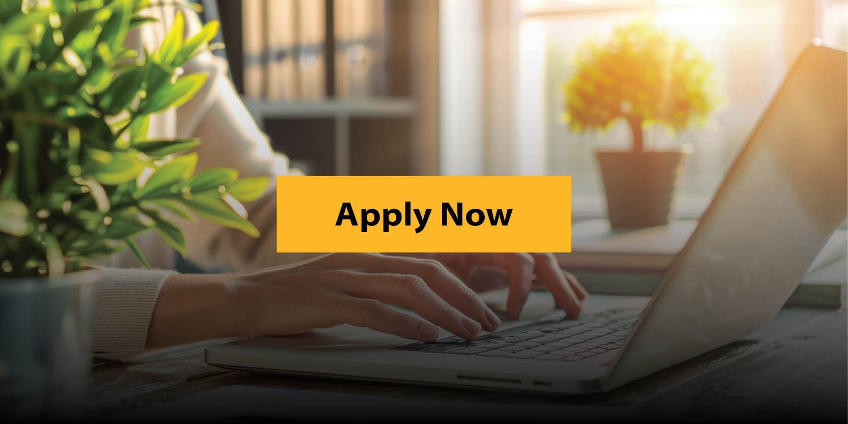 Apply Now Button