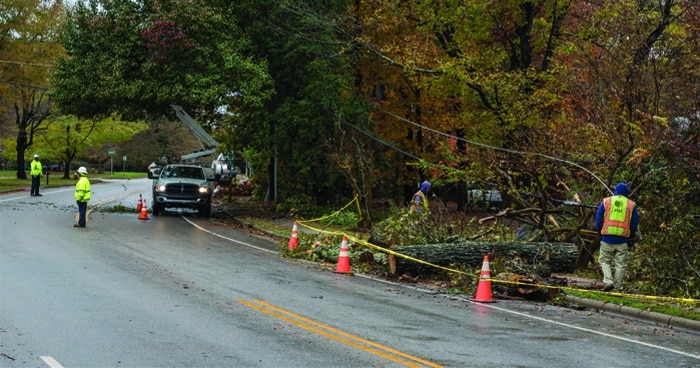 a-photo-of-trees-being-cut-down-along-a-highway